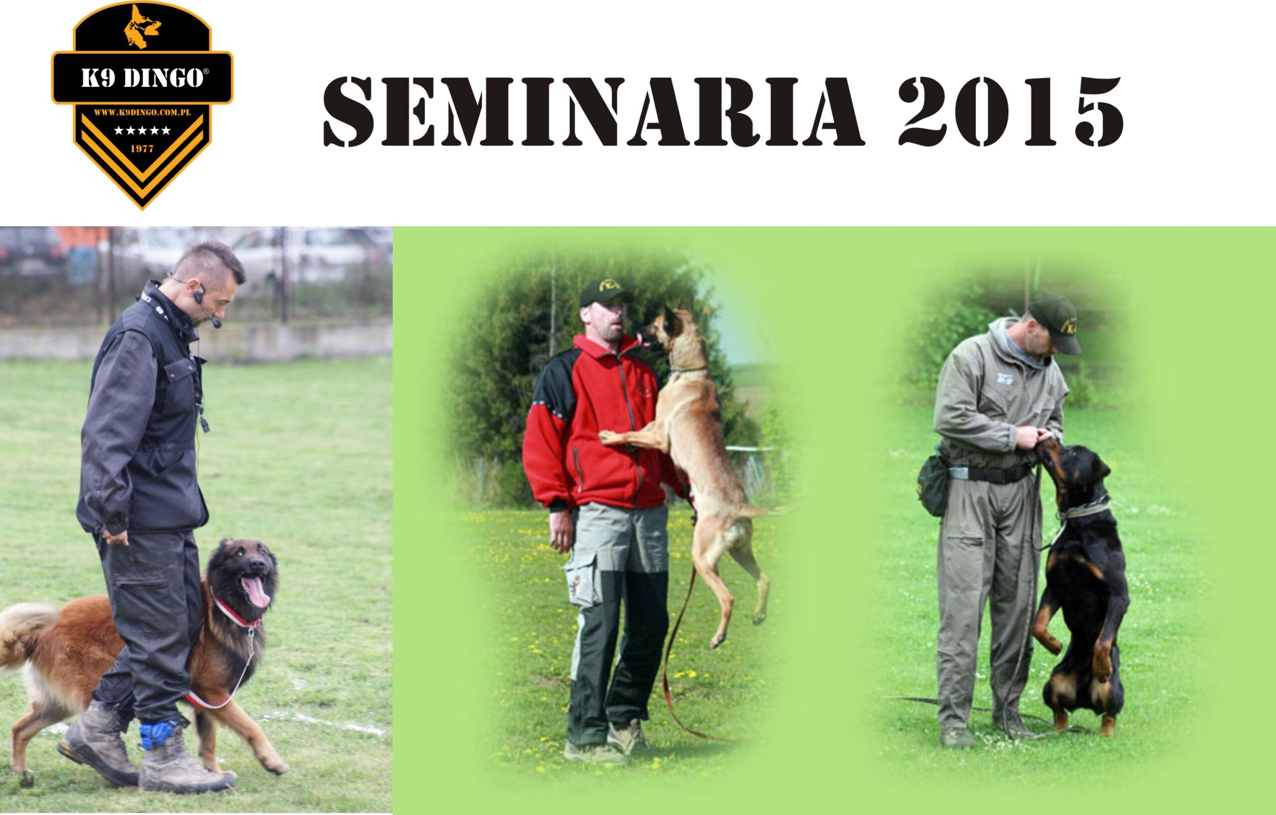 Semianria w K-9 Dingo