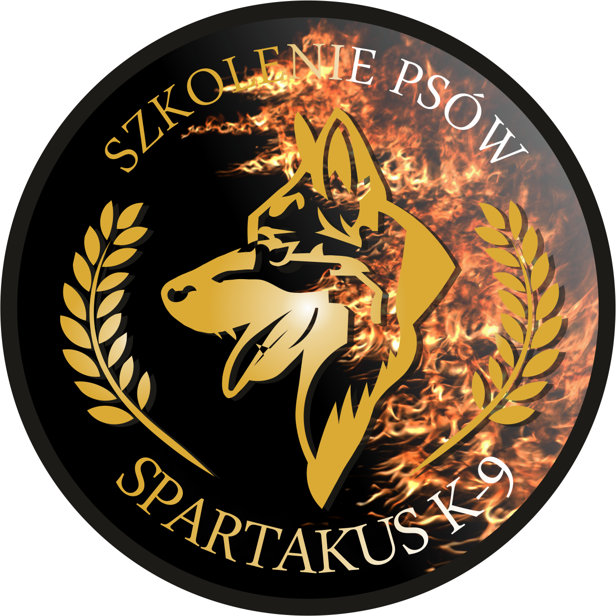 Logo partnera