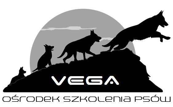 Logo partnera